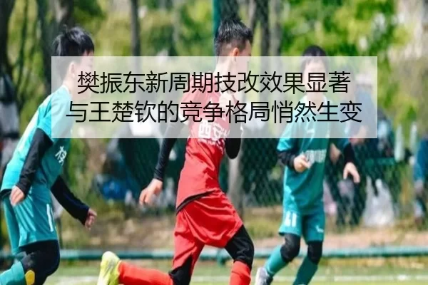fan-zhen-dong-xin-zhou-qi-ji-gai-xiao-guo-xian-zhu-yu-wang-chu-qin-de-jing-zheng-ge-ju-qiao-ran-sheng-bian-2-559.jpg