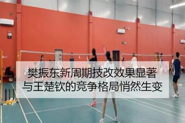 樊振东新周期技改效果显著 与王楚钦的竞争格局悄然生变